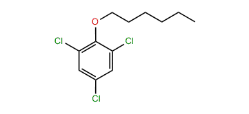 Hexyl 2,4,6-trichlorophenyl ether